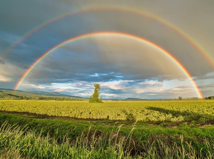 A photo of a double rainbow over a green field